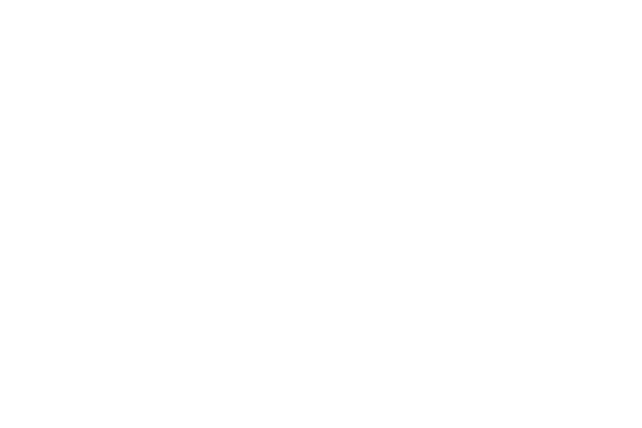 Logo-ISO-9001 blanc